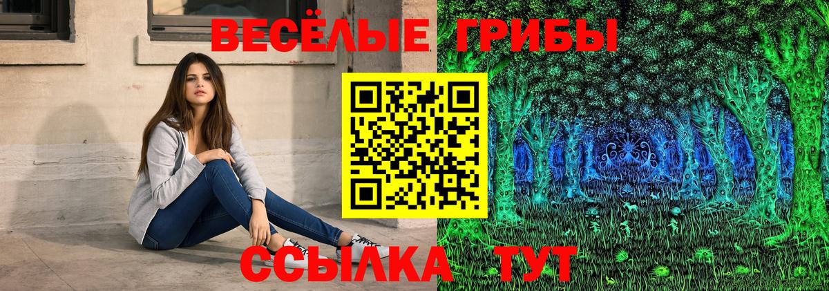 Волоколамск  Псилоцибиновые грибы Cubensis  купить  цена  Вход с VPN 