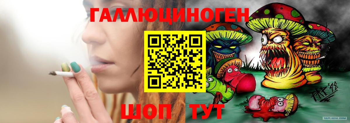 Волоколамск  Галлюциногенные грибы Psilocybine cubensis  Галлюциногенные грибы MAGIC MUSHROOMS  где купить наркоту  Вход с VPN 